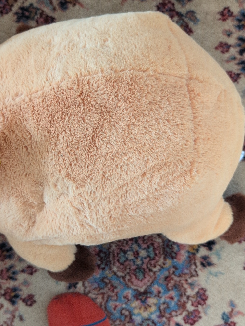 NWT Soft Capybara Weighted Plushy - Picture 9 of 12